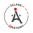 Partner Logo 3